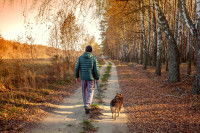 Un homme promène son chien dans un parc en plein automne