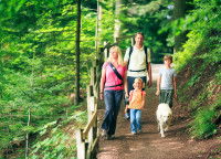 Une famille et son chien en promenade dans une forêt
