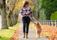 Une femme en train de promener son Golden Retriever dans une allée couverte de feuilles d'automne