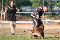 Un chien mordant l'homme assistant sous le contrôle de sa maîtresse dans une épreuve de ring