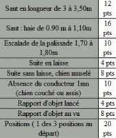 Tableau des points pour les épreuves de ring de niveau 2