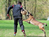 L’épreuve de courage : la menace