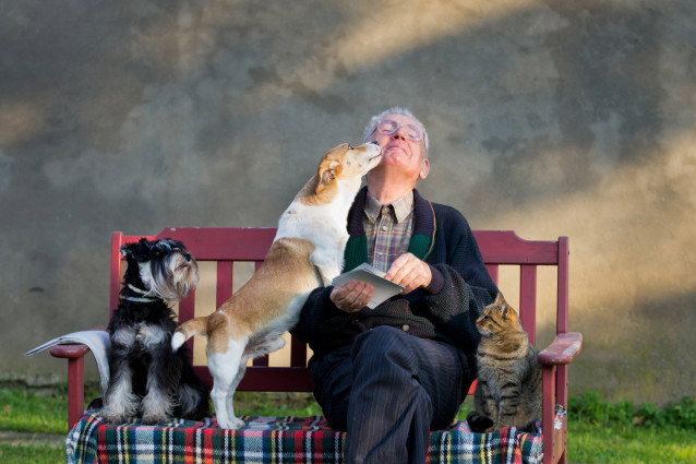 12 raisons d’adopter un chien pour une personne âgée