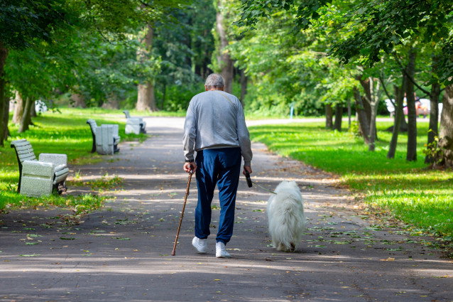 12 raisons d’adopter un chien pour une personne âgée