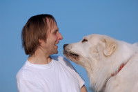 Le montage des Pyrénées : c'est un chien qui passera son temps avec vous