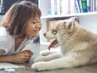 Quelques recommandations