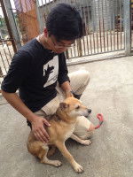 Le soutien des associations