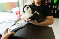 Une personne tenant un chien dans ses bras et en train de payer avec une carte de crédit