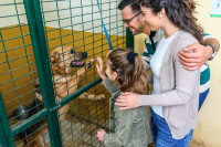 Un couple et leur fille regardant un chien dans un refuge