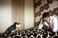 Un homme assis dans son lit, se tenant la tête dans les mains, avec son chien en face de lui