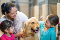 Une famille dans un refuge caressant un chien