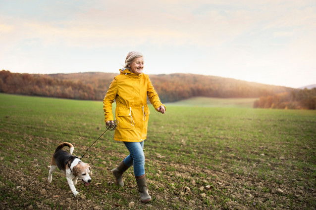 Une femme âgée promène son Beagle dans la campagne
