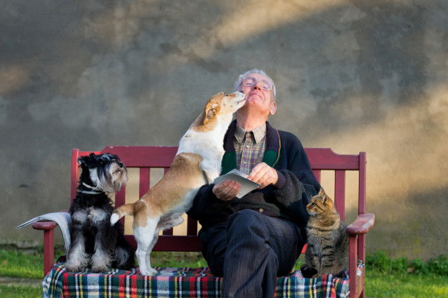 Un homme âgé assis sur un banc avec deux petits chiens et un chat