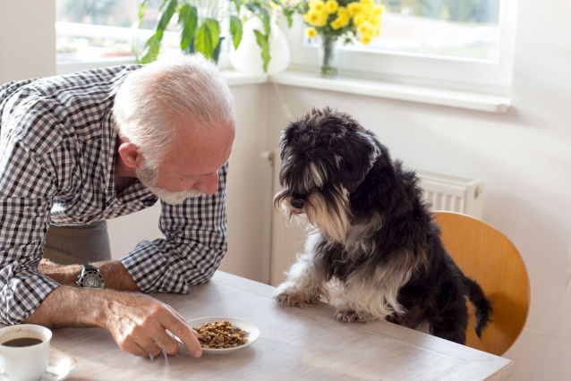 Un homme âgé donne des croquettes à son chien à table