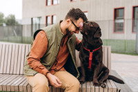 Un chien en train de lécher le front d'un homme, alors qu'ils sont tous deux assis sur un banc