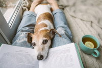 Un chien allongé entre les jambes d'une femme et posant la tête sur un livre