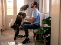 Un chien sautant sur son maître qui rentre chez lui