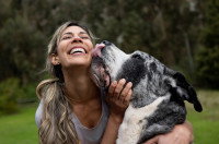 Un chien léchant le visage d'une femme qui sourit