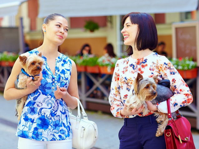 Un chien permet des interactions sociales