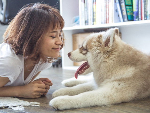 Un chien procure un regain de confiance en soi