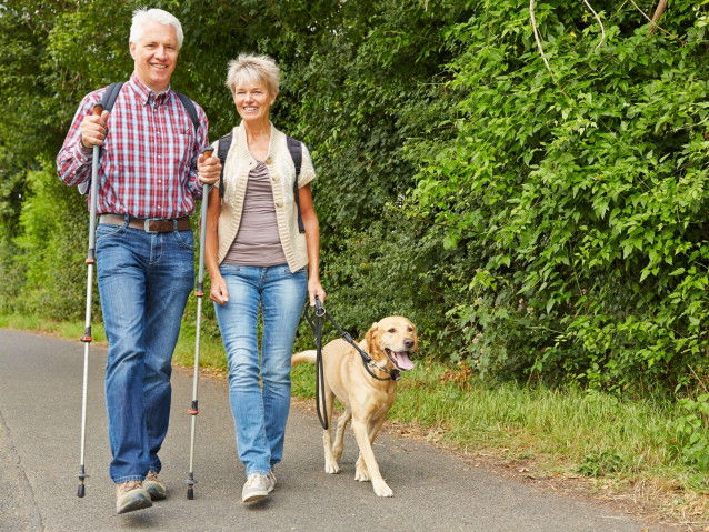 Un chien oblige à sortir et à rester actif