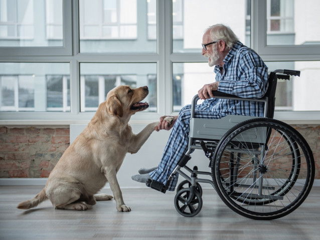 Un chien est une aide de vie au quotidien