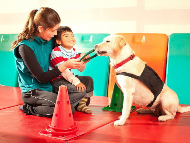 Un chien aide les enfants autistes