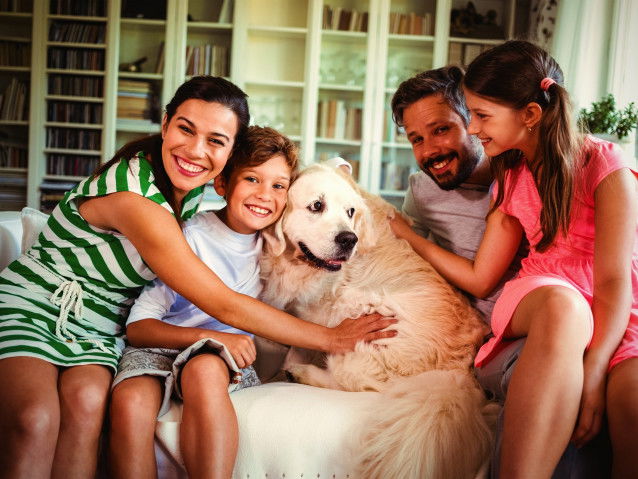 Un chien est source de stabilité