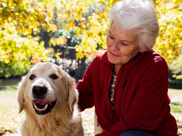 Un chien aide à se sentir moins seul
