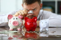 Le budget santé d'un chien