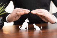 Le concept d'assurance santé pour animaux