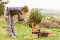 Une femme en pleine séance de dressage d'un Berger Allemand