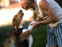 Un chien donne la patte à son maître