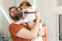 Un Jack Russel lèche le visage de son maître