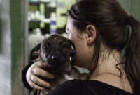 Une femme tient un petit chien dans un refuge
