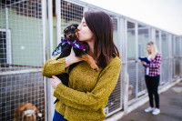 Le choix du chien conditionne le lieu d'adoption
