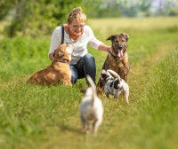 Attention aux généralités : la race ne fait pas tout