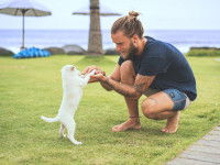 La sollicitation des chiots dans l'élevage