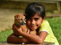 La variété des personnes entourant les chiots