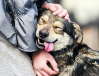 Une femme fait un gros câlin à son chien heureux