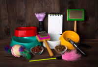 Un kit d'accessoires pour chien sur un fond en bois