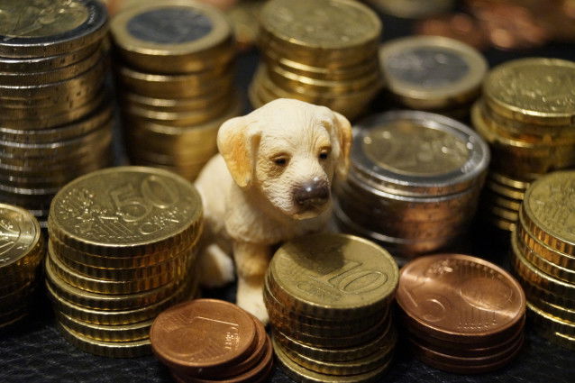Une figurine en forme de chien au milieu de pièces d'euros