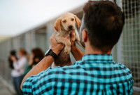 Un homme de dos tenant un chiot dans ses bras