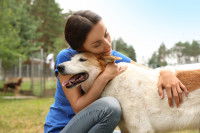 Une femme faisant un câlin a un chien