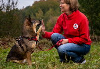 Une femme faisant un high five à un chien
