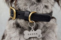 Une photo du cou d'un chien portant un collier et une médaille avec son nom