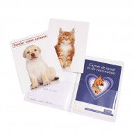 Une image de carnets de santé pour chien ou chat