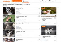 Section animaux du site le bon coin