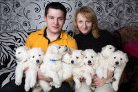 Éleveurs de Bergers Blancs Suisses