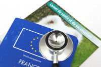 Passeport et carnet de santé de chien